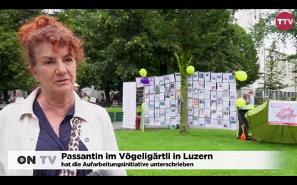«Aufarbeitungsinitiative» Gescheitert. Wie Weiter Ein Bericht Aus Luzern, Zürich Und Lichtensteig [63cZXU1L]