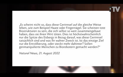 TTV News Nr. 85： Transhumanismus mit Graphen – CDC hebt Covid19-Richtlinien auf – Bill Gates & WHO： Mücken gegen Krankheiten – Geplante Lebensmittelkrise [V3vKMdlF]