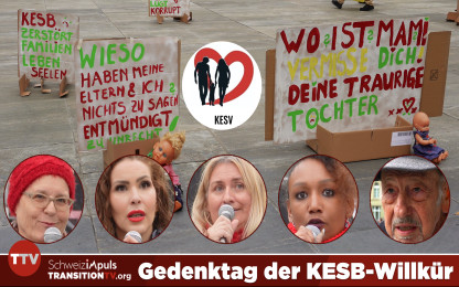 Langgassung KESV DEMO 2025