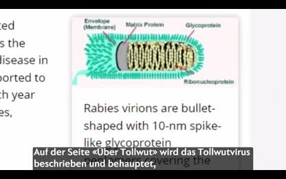 Dr. Samantha Bailey - Wird Tollwut wirklich durch Viren &uuml;bertragen？ [kvq0S79m]