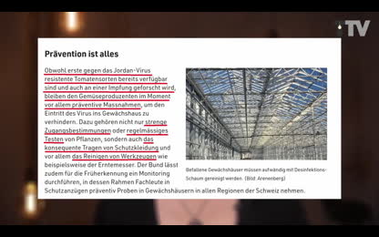 TTV News Nr. 58： Jordanvirus &ndash; Astrazeneca & Affenpocken &ndash; Deklaration gegen WHO-Pl&auml;ne &ndash; Neue Definition von Neutralit&auml;t [Sv0ZIOTK]