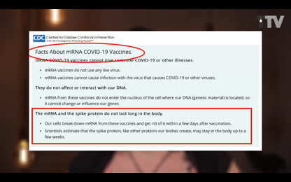 TTV News Nr. 81：  CDC l&ouml;scht Info &uuml;ber Spike-Proteine &ndash; V-AIDS： Hinweise verdichten sich &ndash; WHO： Wuhan-Markt nicht Covid-Ursprung &ndash; RKI： Dunkle Vergangenheit [9zw9NRqv]