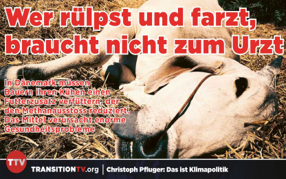 Bovear: Klima-Zusatz macht K&uuml;he krank