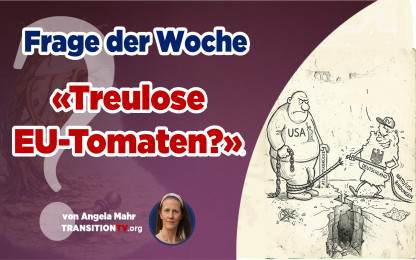 Eskalation des Guten: Hat Deutschland den USA die Treue gebrochen?